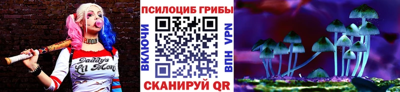 Псилоцибиновые грибы мухоморы  как найти наркотики  Кореновск 